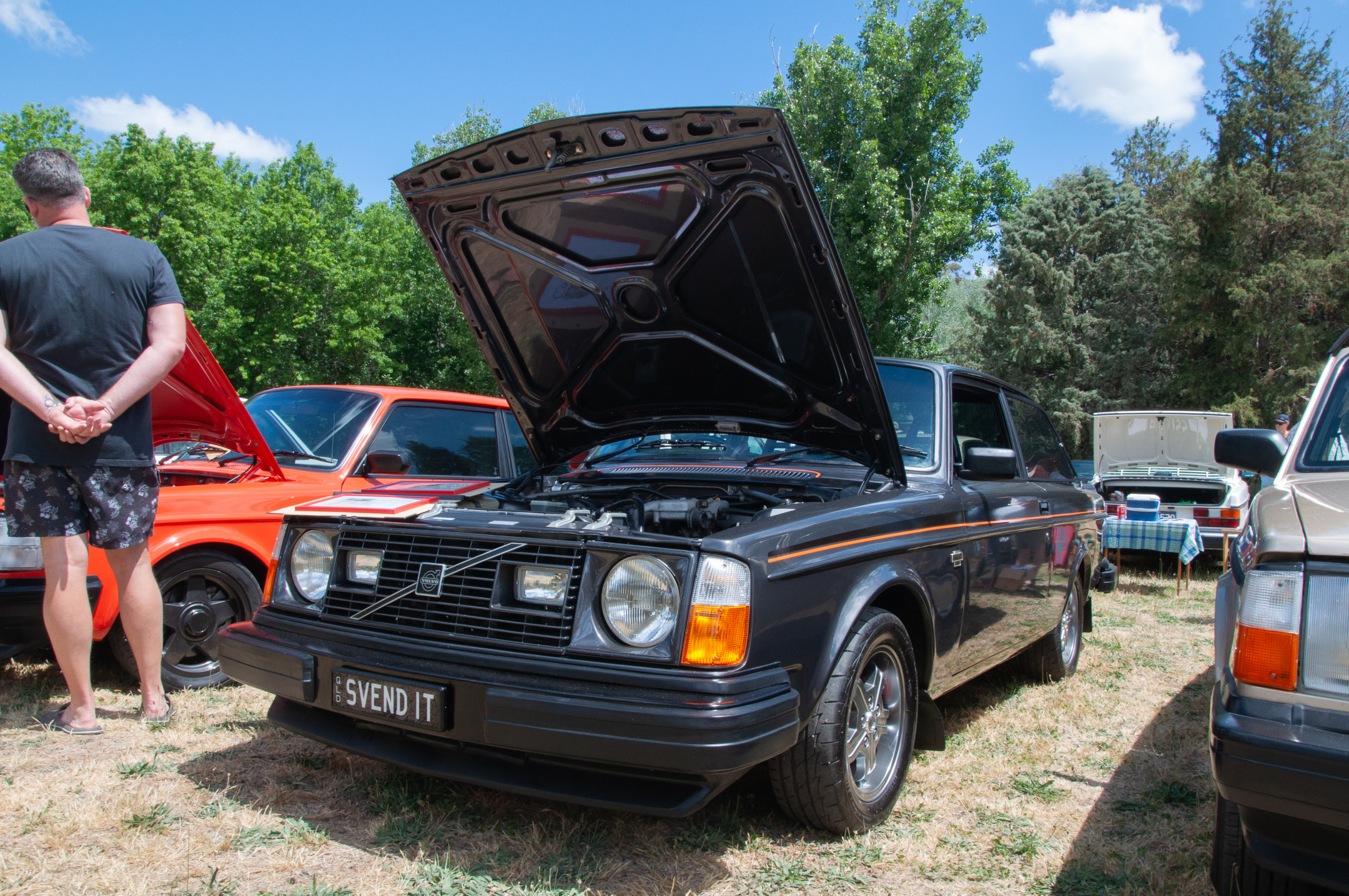 Oz Volvo Nats 2024 - Winner: Best Overall 2-series, David's 1979 242 GT