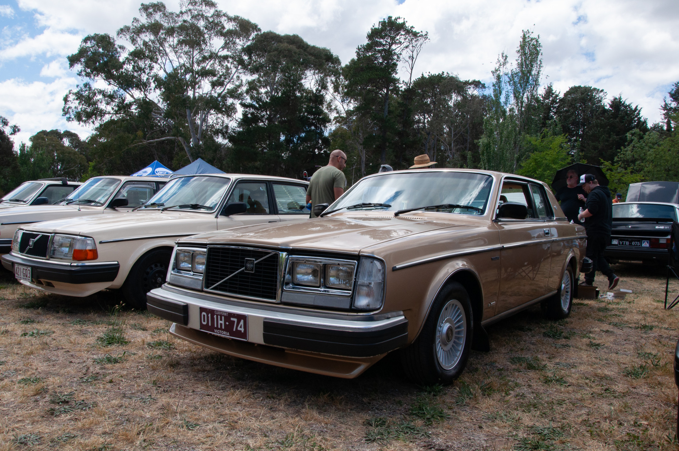 Oz Volvo Nats 2024 - Winner: Best 2-series coupe, Duncan's 1980 262 C